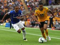 开云体育下载-狼队主场击败埃弗顿，继续保持积分榜前列的简单介绍