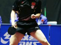 开云足球直播-波兰队逆转日本队，樊振东点燃赛场