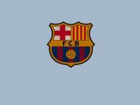 开云官方app入口-羽坛烽火夜，戴资颖炽热状态下的法中之战启示录