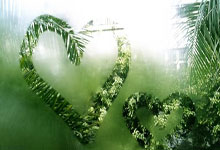 开云体育直播-加克波一剑封喉，多特蒙德狂胜AC米兰的战术启示