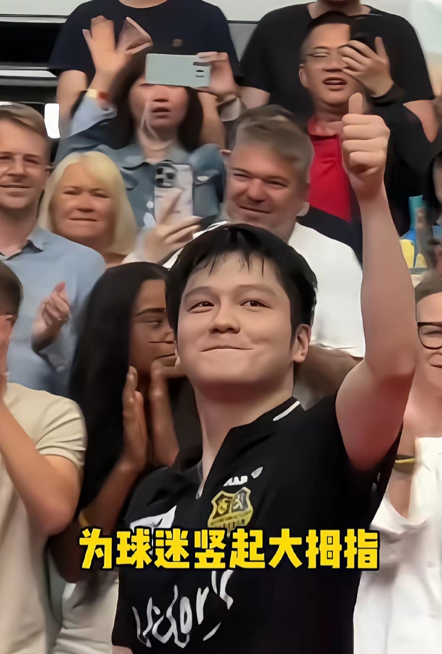 关于瑞典队逆转波兰队，樊振东高光表现的信息