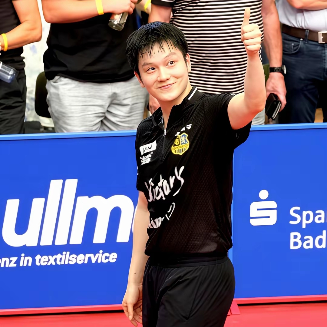 关于瑞典队逆转波兰队，樊振东高光表现的信息