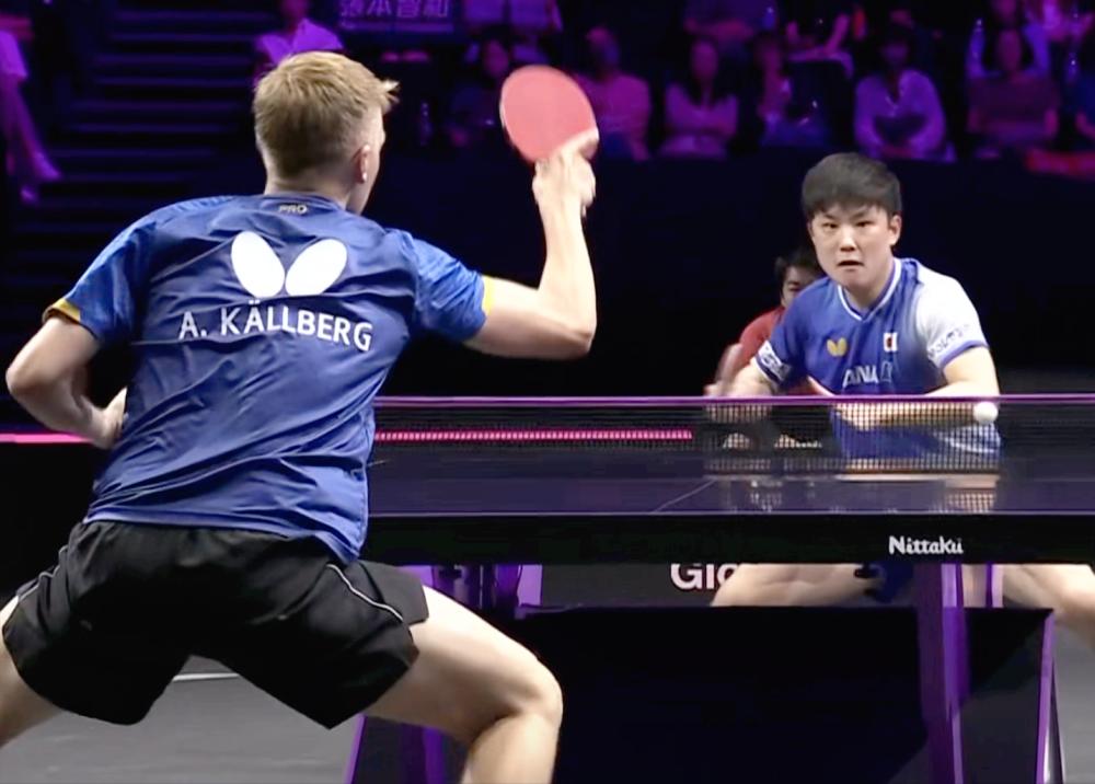 关于中国队横扫德国队，张本智和状态火热的信息